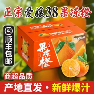 正宗四川丹棱爱媛38果冻橙新鲜带叶手剥橙子顺丰包邮新鲜采摘柑桔