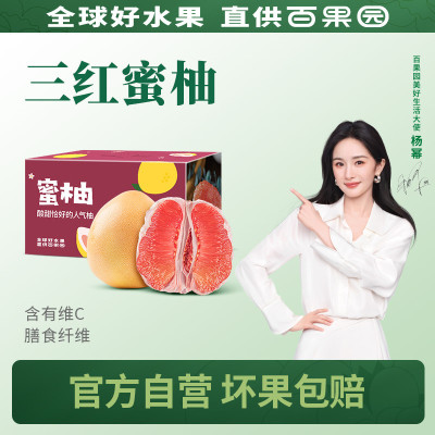 百果园店福建平和三红蜜柚红心柚子蜜柚新鲜水果当季2粒礼盒装