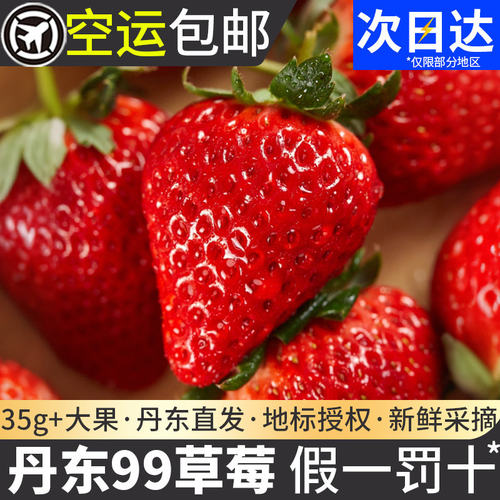 正宗丹东草莓99新鲜红颜