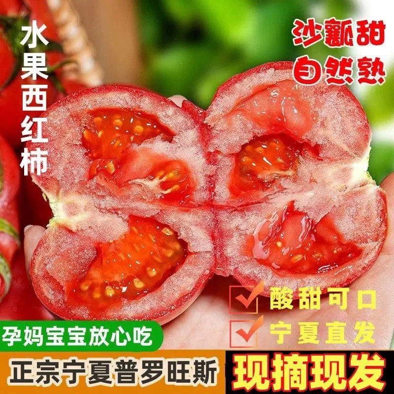 正宗宁夏莲湖普罗旺斯番