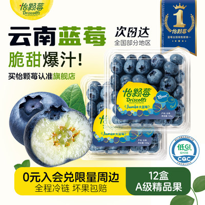 Driscoll's怡颗莓云南蓝莓脆甜多汁新鲜蓝莓水果低GI水果