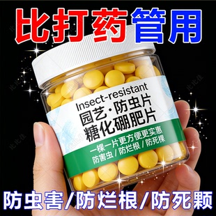 园艺防虫片驱虫除蓟马糖化硼肥片盆栽果花卉植物防烂根土壤养花