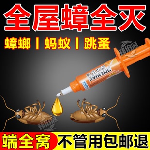 蟑螂药家用驱虫厨房室内餐厅宿舍强效蟑螂药杀蟑螂诱饵针剂一窝端