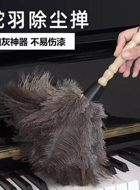 鸵鸟毛掸子家用除尘扫灰r神器刷扫防静电车浮灰可伸缩水洗鸡毛掸