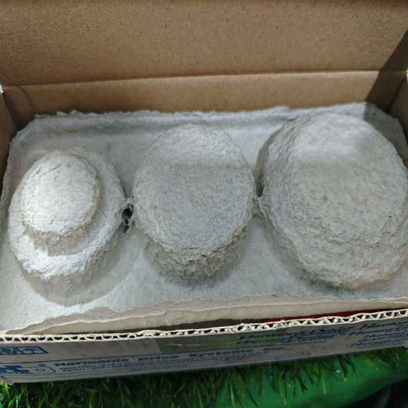 SHF-17-50-2A-R-SP谐波减速器【侨报商行】