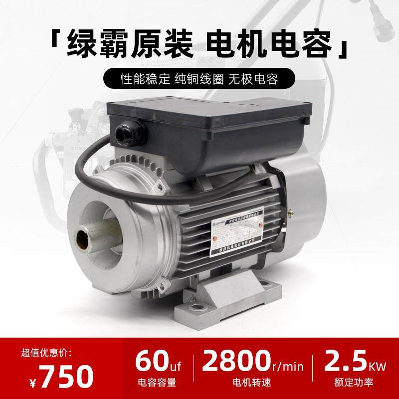 绿霸LT-16MBG洗车机清洗机专用电机220V2500W配件清洗神器电动机