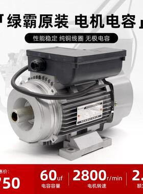 绿霸LT-16MBG洗车机清洗机专用电机220V2500W配件清洗神器电动机