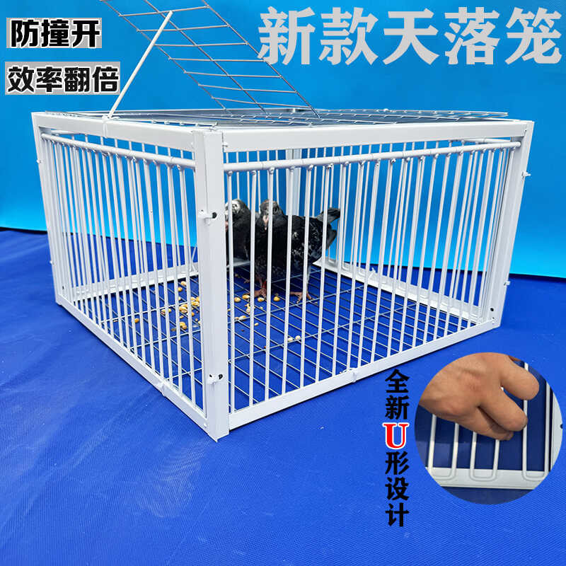 信鸽天落笼加密只进不出鸽子笼户外鸽子笼全自动收鸽笼鸟笼包邮