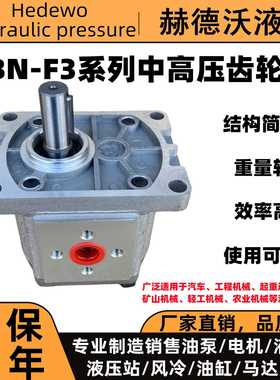 CBN-F系列齿轮泵耐压20mpa 16轴左转右转suorui