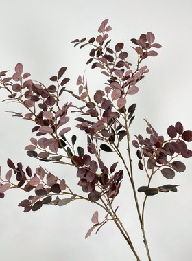 高品彷真红继木叶秋色红叶子中华红木中式插花婚庆户外造景软装