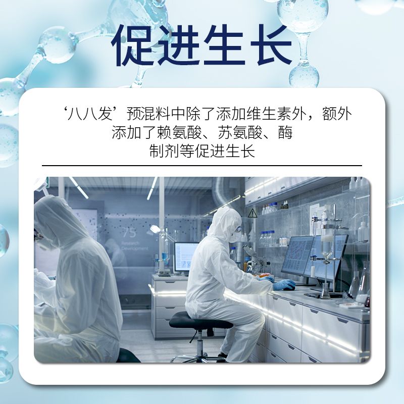 。八方牧歌8%中大猪预混料育肥饲料拉骨架增加采食提高免疫催肥猛