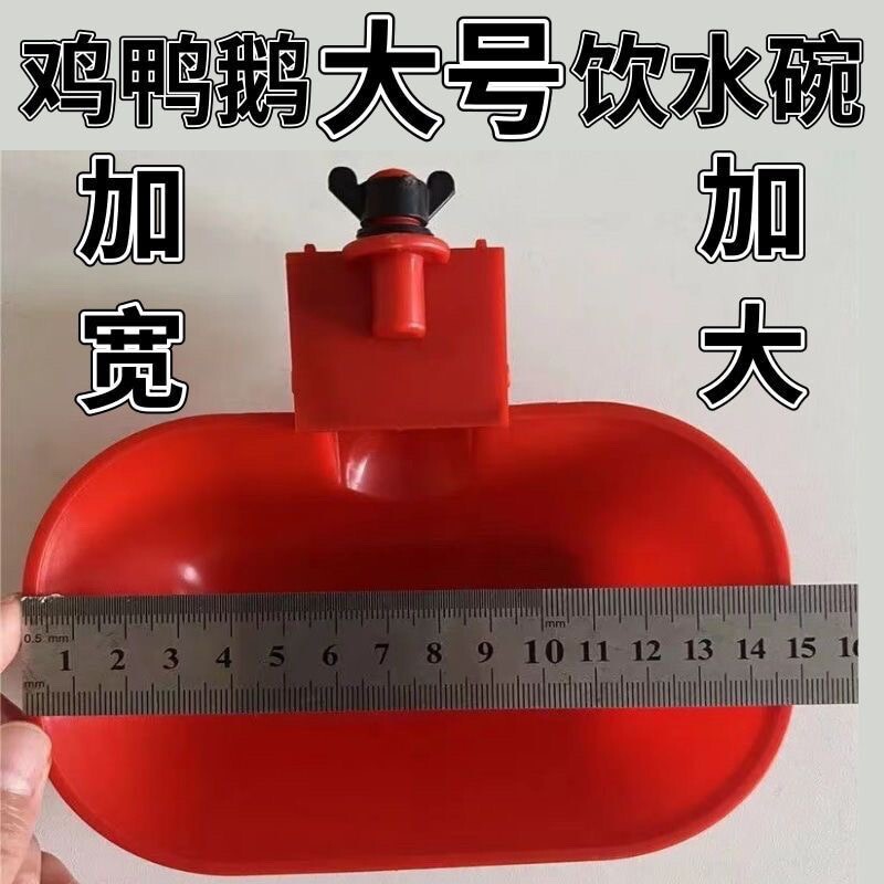 新款特大号鸡鸭鹅自动饮水碗喂水器加大加厚家禽宠物猫狗兔用
