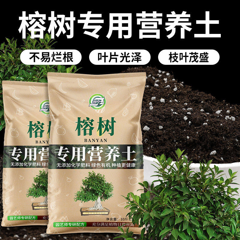 榕树专用土营养土榕树肥料通用种植老桩榕树盆景疏松透气有机
