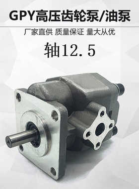 HGP-2A高压齿轮泵GPY-3R 4R 5.8R 6R 7 8R 9R 10R 11.5R 12R RX