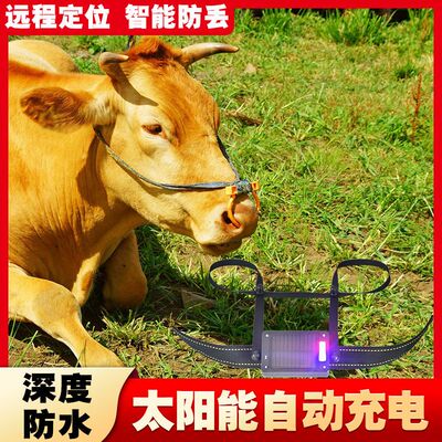全网热销10W+牛羊定位器山区放牧