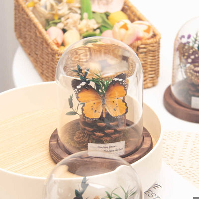 玻璃罩紫色立体真蝴蝶元素手工本微景观摆件送女生日礼物高级感