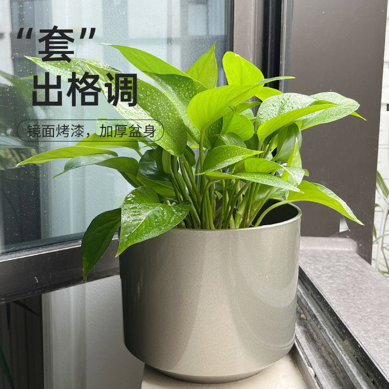 绿萝套盆花盆装饰外壳外装饰套烤漆外套遮丑装饰盆外盆孔水图片