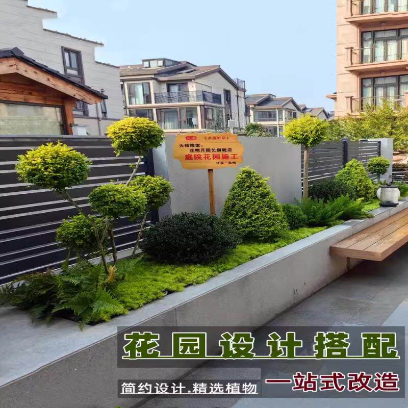 花镜植物搭配亮晶女贞棒棒糖花园设计施工效果图庭院花园别墅造景