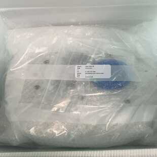 应用材料，JIG,AI300G3,LEAK CHECK,SM