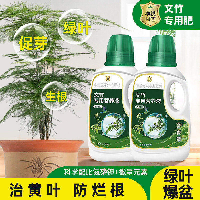 文竹营养液治黄叶干尖家用云竹肥料花肥文竹专用肥文松水培液