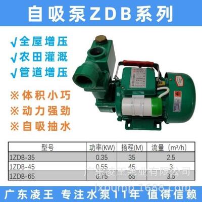 水泵自吸泵清水泵家用增压热水器自来水高楼增压农田灌溉