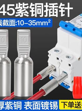 C45空开接线端子断路器铜接头DTD插针插片鸭嘴舌线耳紫铜接线