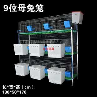 兔笼养殖笼大型工厂专用热镀锌12位子母笼种兔笼免清粪家用兔子笼