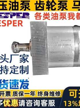 HESPER齿轮泵HA1-1.7 3.2 3.8 4.3 5 6 7.8 0.85-3289-C 液压泵