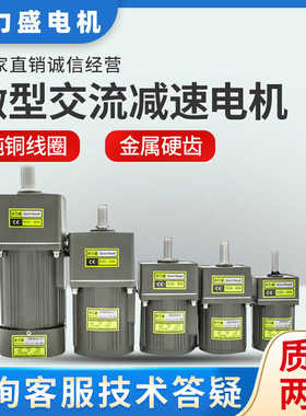 6W15W25W40W60W120W180W200W250W300W400W齿轮调定减速变频电机
