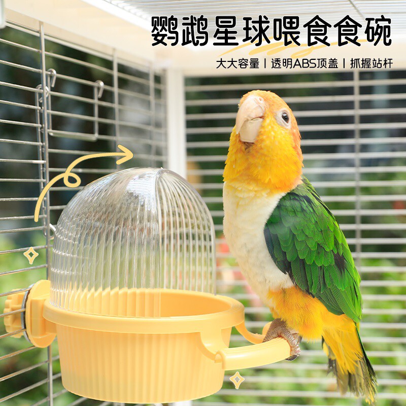 鹦鹉食盒防溅小鸟用喂食器食罐挂式防撒喂食喂鸟器饮水器食碗食盆