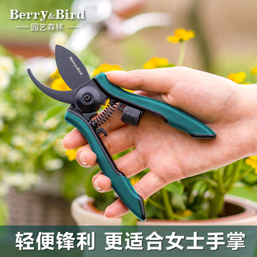 B&B花剪剪刀修枝剪家用花盆栽专用插花省力