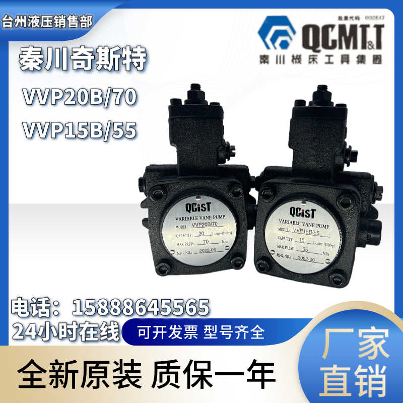 QCIST秦川奇斯特VVP20B/55 VVP30B/55 VVP40B/70自动变量叶片泵