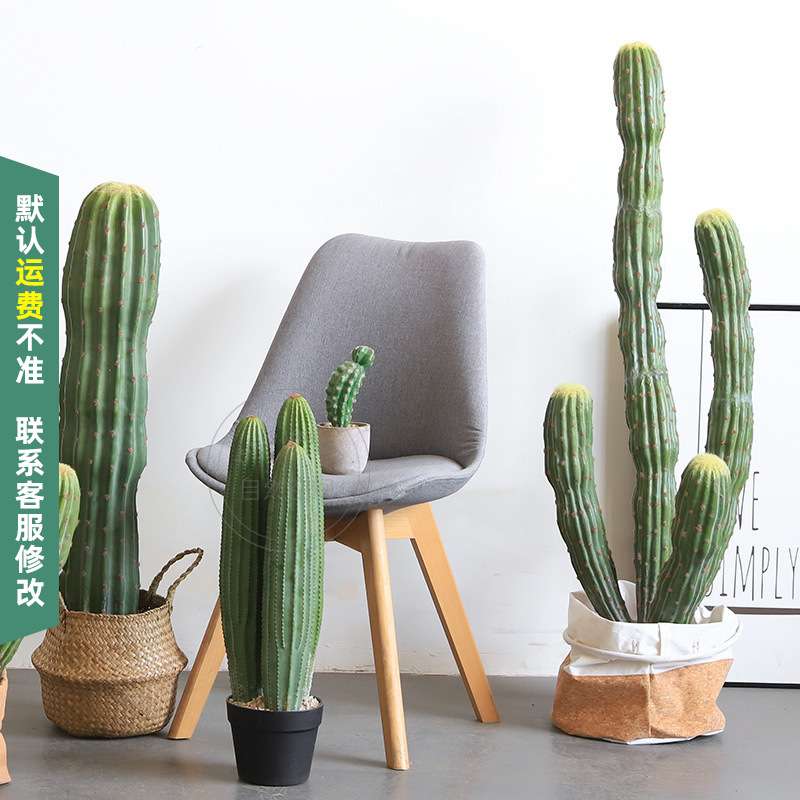 墨西哥仙人掌仿真仙人柱沙生景观造景摩洛哥风格假绿植盆栽高仿真