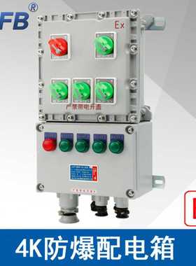 中沈BXMD58-4K防爆照明动力配电箱1进4出防爆开关电箱ExdbebIIBT4