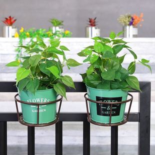 挂篮花盆阳台铁艺半壁挂植物绿萝盆吊兰悬挂多肉加厚耐用创意个性