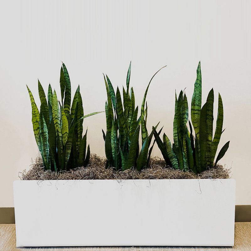 花盆长方形水泥花盆北欧长条马槽客厅阳台户外种菜镁泥花箱大绿植