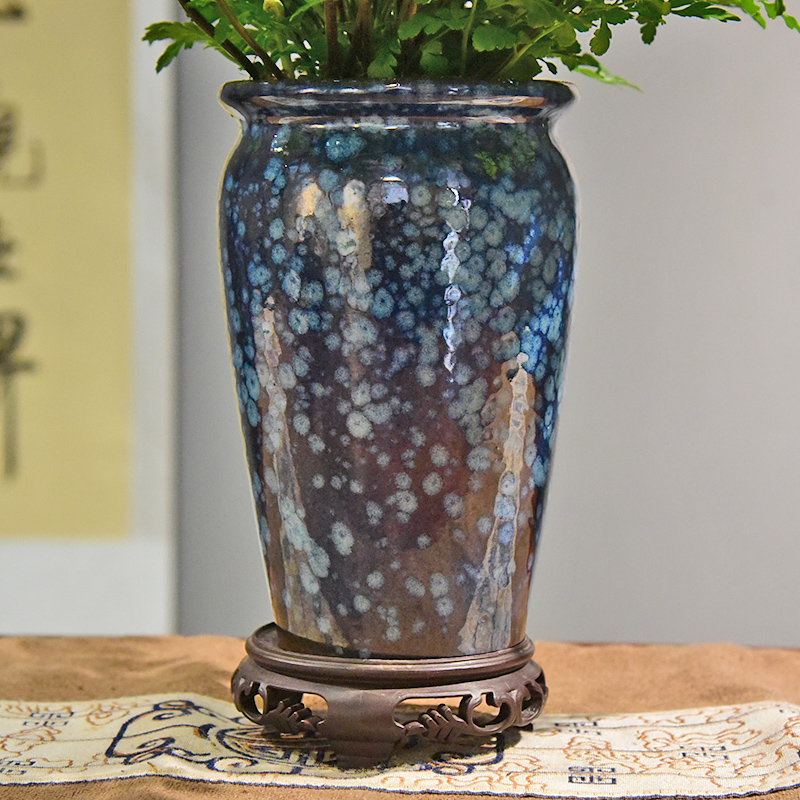 吉姆蕨室内客厅四季常青盆栽蕨类桌面观赏植物观叶绿植装饰摆饰