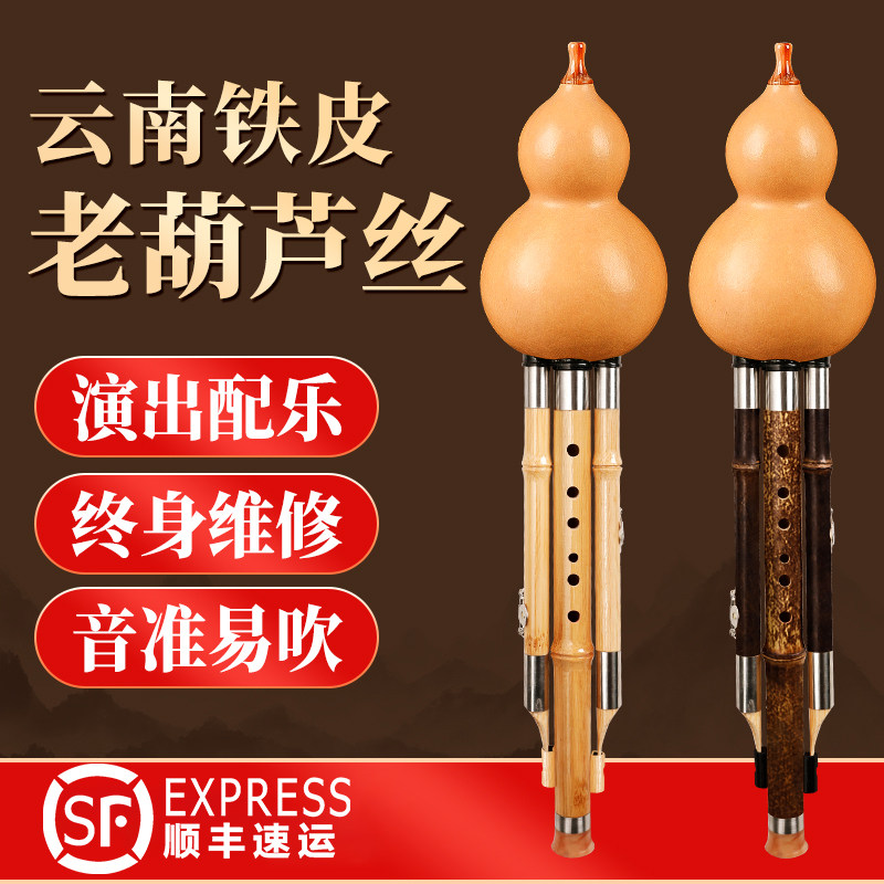 葫芦丝乐器C调小学生儿童专用天然紫竹素面B调七孔成人专业演奏型