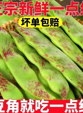 东北一点红油豆角纯油豆大油豆小油豆新鲜云南产地直发整箱批发价