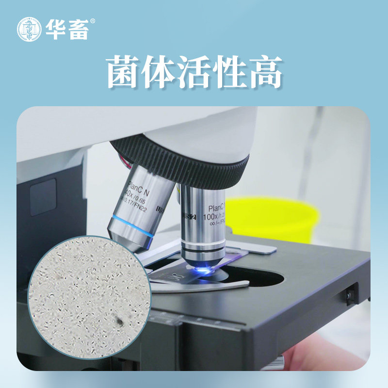 华畜光合细菌水产养殖鱼虾蟹改良水质降解氨氮发酵培养菌净水菌种,宠物/宠物食品及用品,其他益生菌,淘宝优惠券,粉丝福利购,淘宝优惠卷