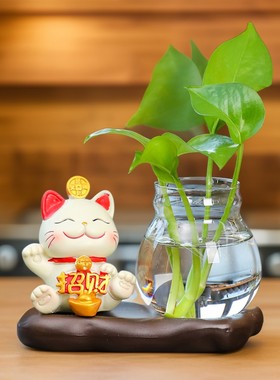 招财猫水培治愈系创意可爱客厅玄关家居办公室工位桌面装饰品摆件