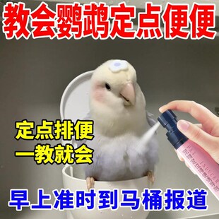鹦鹉定点排便诱导剂专用不乱拉乱尿鸟类站架垃圾桶上厕所诱便液