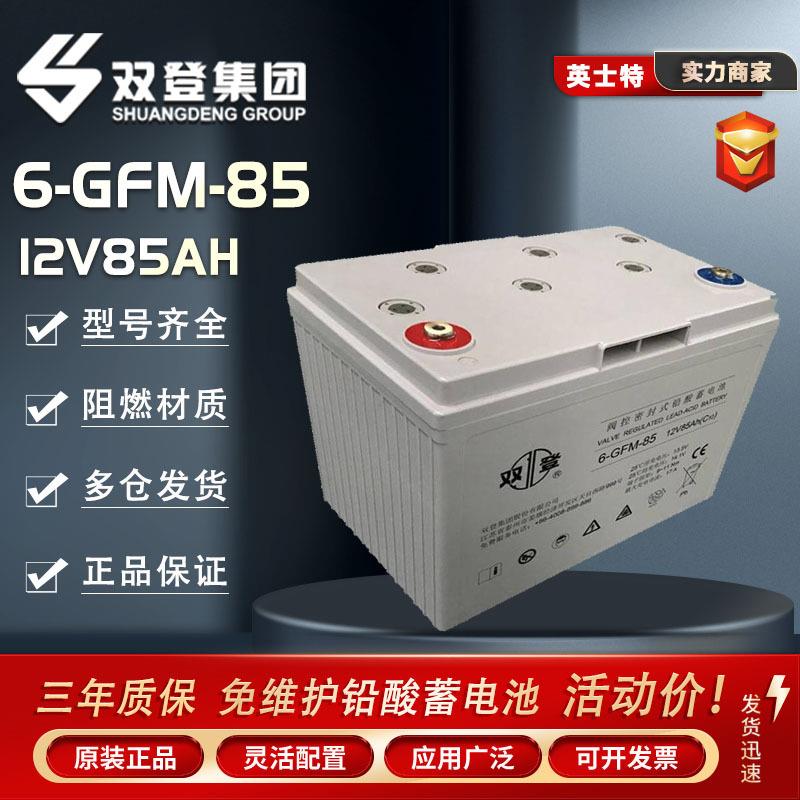 双登蓄电池6-GFM-85 12V85AH EPS直流屏 机房UPS配电室 后备电源