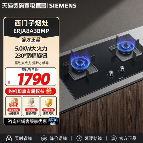 西门子铜火盖5.0kw燃气灶天然气灶大火力可调节底盘ERJA8A3BMP 33