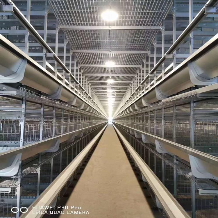 华顺牌全自动层叠蛋鸡笼 操作简单省时省力