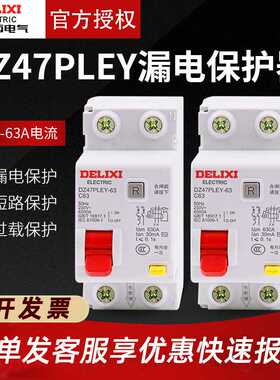 德力I西空气开关DZ47PLEY带漏电保护器32A 40A 63A双进双出断路