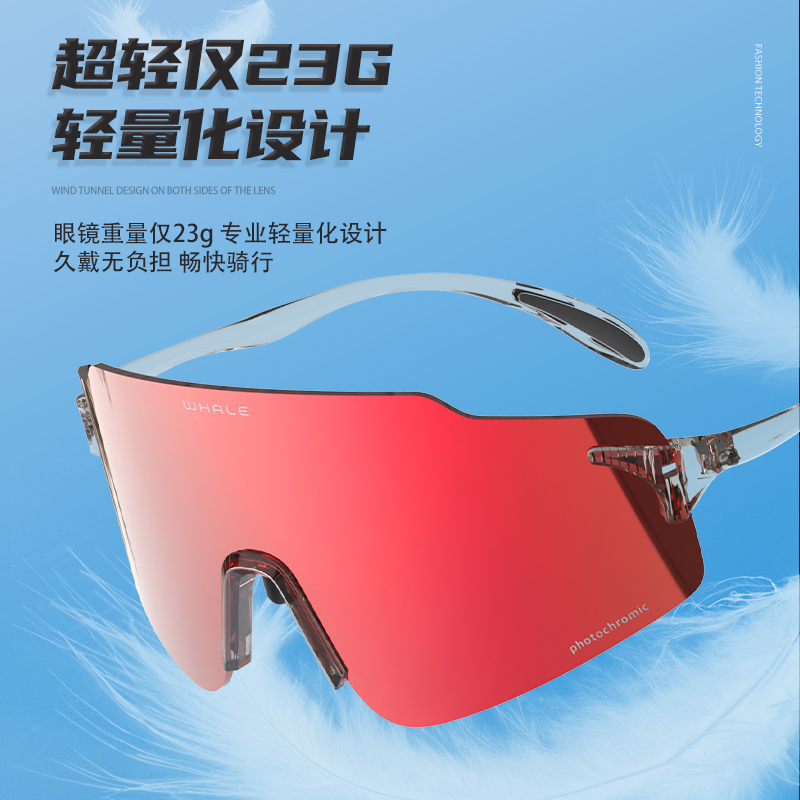 德国进口镜片鲸鱼R20S骑行护目镜
