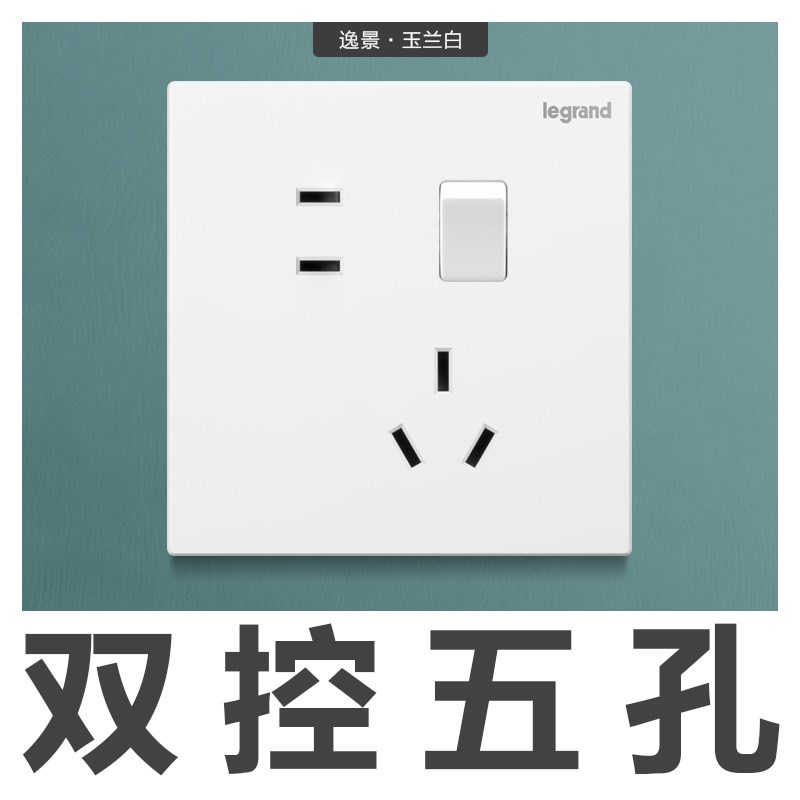 罗格朗仕典逸景玉兰白带开 关插座面板切1开 5孔插座一开