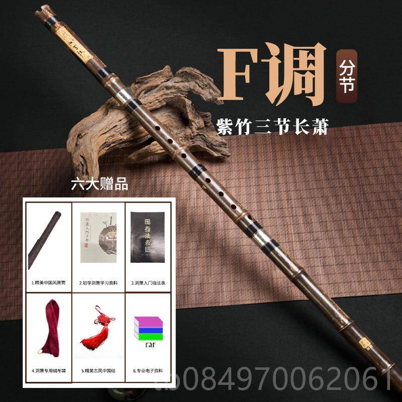 正品高端演奏紫长专业乐器箫入器门初学冷门小乐萧短洞箫八六孔竹