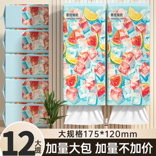 买2送1整箱12大提3000张悬挂式 擦手纸车用纸巾卫生纸 抽纸壁挂式